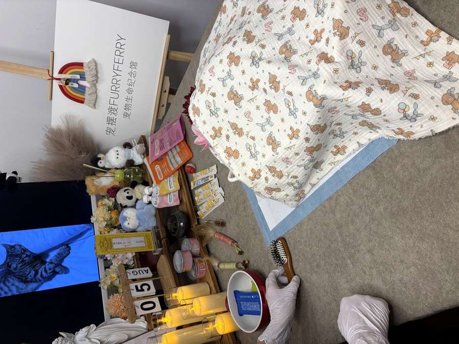 广州宠物告别厅